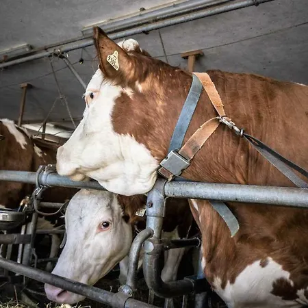 Apartamento Stubaier Bauern Telfes im Stubai