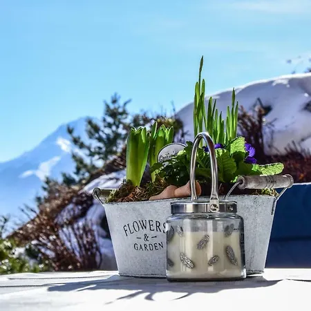 Apartment Stubaier Bauern Telfes im Stubai