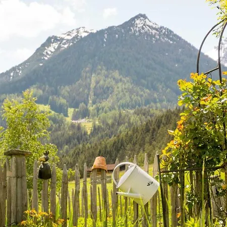 Stubaier Bauern * 施图拜河谷泰尔夫斯