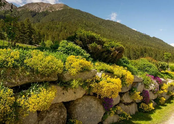 Stubaier Bauern * Telfes im Stubai