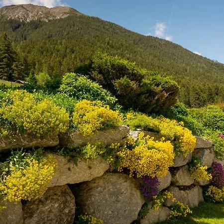 Stubaier Bauern * テルフェス・イム・シュトゥーバイ