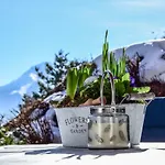 Apartament Stubaier Bauern Telfes im Stubai